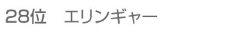 28位 エリンギャー