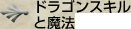 ドラゴンスキルと魔法