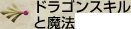 ドラゴンスキルと魔法
