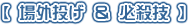 【場外投 ＆ 必殺技】